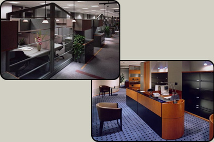 ������ ������